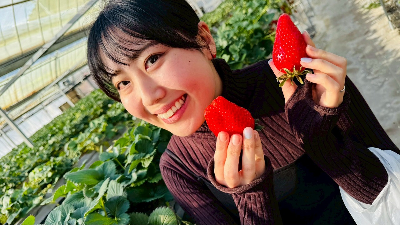 いちご狩り