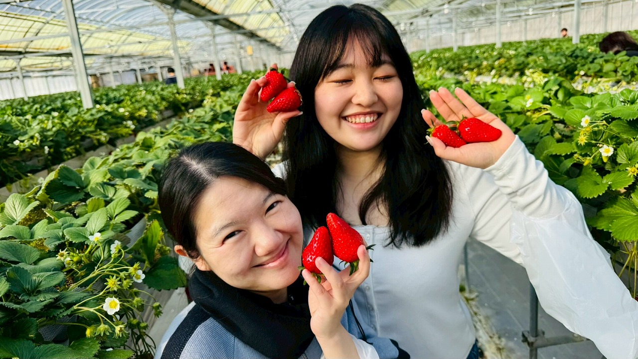 いちご狩り