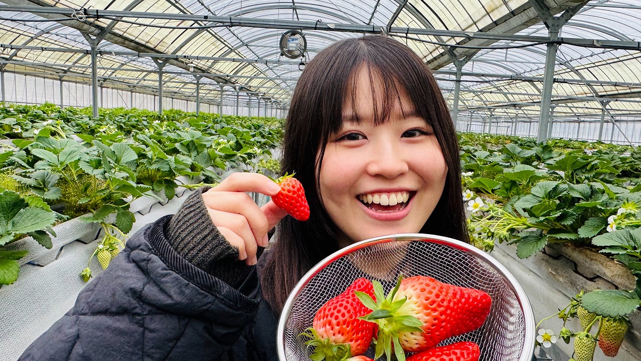 いちご狩り