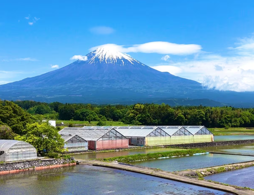 富士山望月ファーム